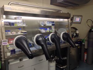 glovebox