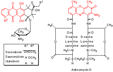 chemical structures of daunorubicin and actinomycin-D