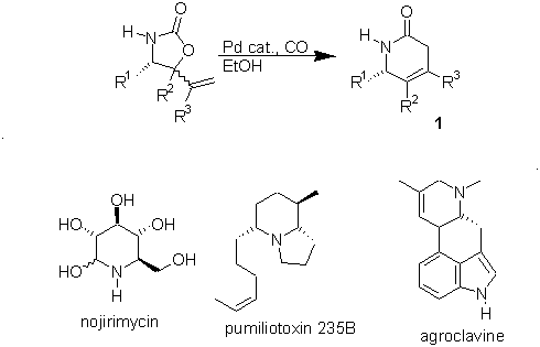 Delta lactam and natural product targets