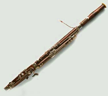 photo of a bassoon