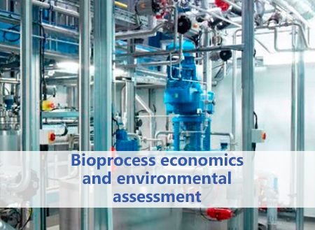 Bioprocess economics and environmental assessment