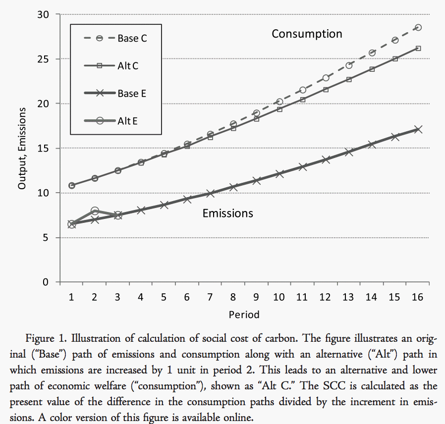 The Social Cost of Carbon