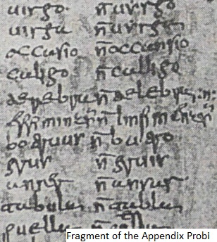 A fragment of the Appendix Probi