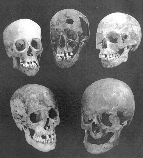 five heads are better than one