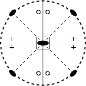 D2d stereograph