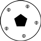 C5h stereograph