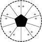 C5v stereograph