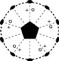 D5 stereograph