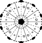 D5d stereograph