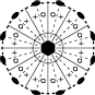 D6d stereograph