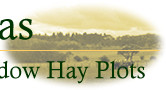 Palace Leas Meadow Hay Plots