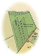 Close-up of Palace Leas plots on old map