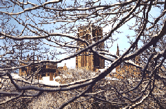 Cathedral through trees